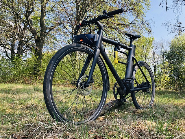 elektrische fiets kopen